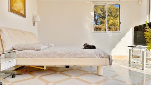 un chien allongé sur un lit dans une chambre dans l'établissement Palm & Sun, à Nice