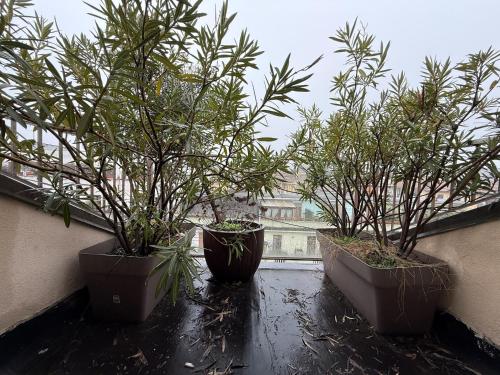Sunny Design Penthouse 2BR 2BA 8 min to Duomo