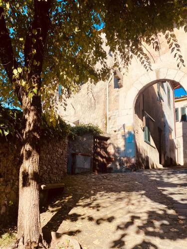 a tree sitting next to a building with an archway at Porta a Piastri Apartment in Coreglia Antelminelli