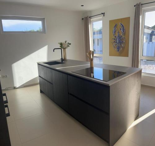 una gran cocina con fregadero en una habitación en The luxury flamingo, en Willemstad