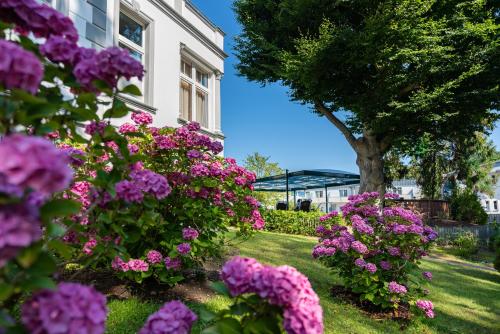 a garden of flowers in front of a building at Ostseehotel Villen im Park - ein Rovell Hotel in Bansin