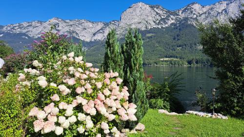 a bunch of flowers in front of a body of water at Haus Seegarten - LANDLUFT in Grundlsee