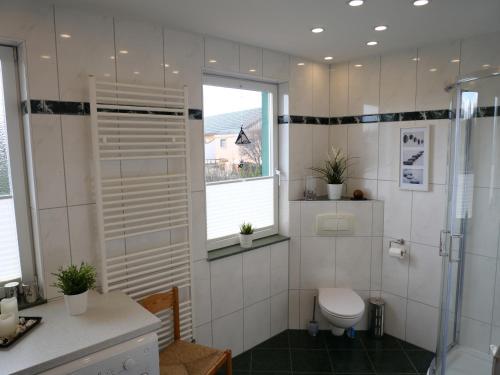 a bathroom with a toilet and a window at direkt am Wasser ""Küstenperle"mit Meerblick und Sauna in Hohenkirchen