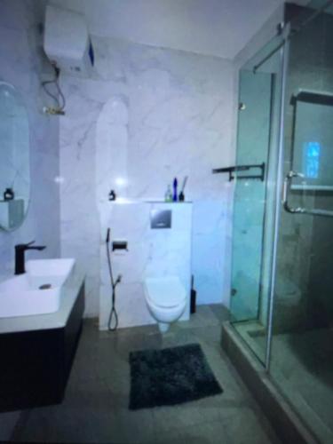 a bathroom with a toilet and a sink and a shower at DEJ APARTMENTs BY LAND MARK in Lekki