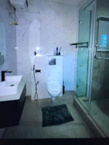 a bathroom with a shower and a toilet and a sink at DEJ APARTMENTs BY LAND MARK in Lekki