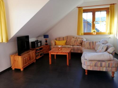 a living room with a couch and a tv at Harzwellness in Altenau