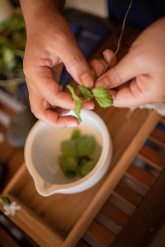 a person holding a piece of broccoli in a bowl at Pousada Morena in Fernando de Noronha