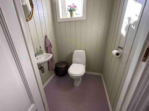 a small bathroom with a toilet and a sink at Stort hus på Fen i Ulefoss i rolige omgivelser in Ulefoss