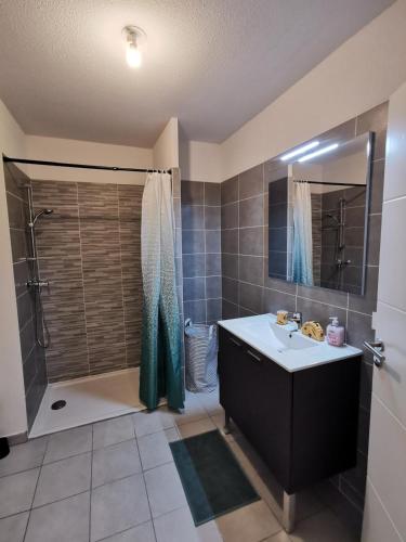une salle de bain avec une douche et un lavabo et une douche dans l'établissement Charmant duplex à Montpellier pour 4 personnes, wifi, parking et tramway, à Montpellier