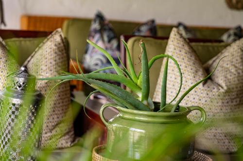 a green vase with a green plant in it at Woodall Country House and Spa in Addo