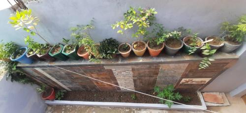 Billede fra billedgalleriet på Duja Homes i Maihar