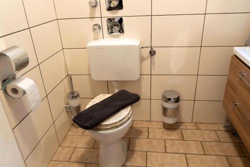 a small bathroom with a toilet and a sink at Großzügiges Ferienstudio Für Zwei Personen in Weißenstadt