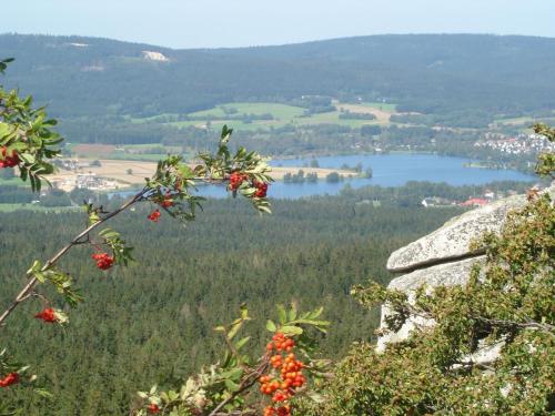 a view of a lake from the top of a mountain at Großzügiges Ferienstudio Für Zwei Personen in Weißenstadt