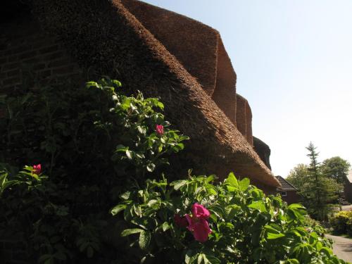 a bush with pink flowers in front of a building at Friesenhaus am Meer in Dagebüll