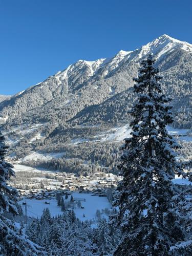 a view of a snowy mountain range with a pine tree at CHALET Sophie & Max in Bad Gastein in Bad Gastein