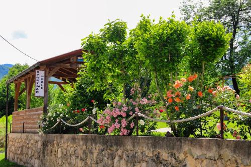 a garden with flowers in front of a building at Apartment Prole in Šipovo