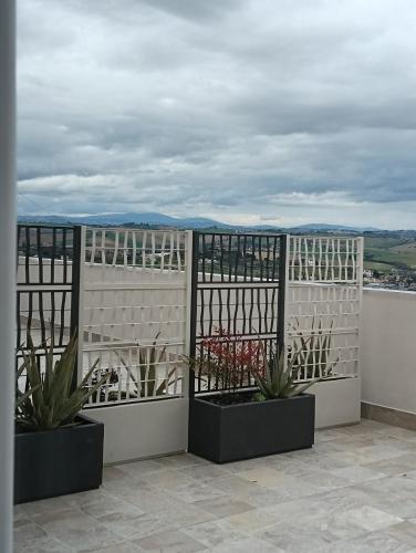 a balcony with two potted plants on a building at La Principessa Nera B&B in Ostra