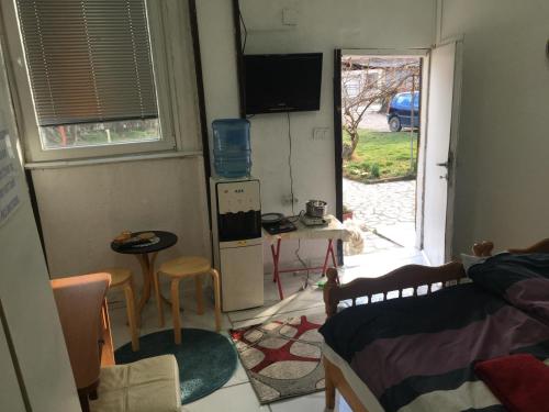 Apartment with big yard and garden