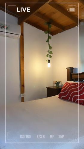 Gallery image of Paradise BH in Maizal