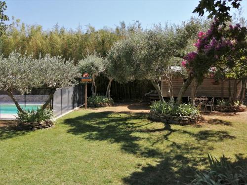 Les treilles de Provence