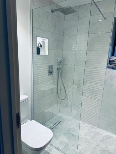 a bathroom with a glass shower with a toilet at Knatchbull Cottage in Downhead