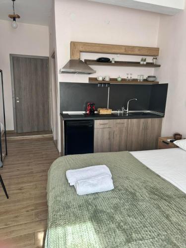 Dapur atau dapur kecil di Zante Art de l'eau