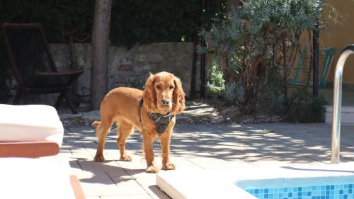 "Art House" by SECRA