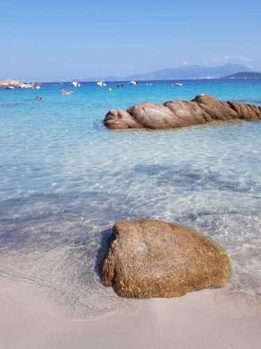 Un rocher dans l'eau sur une plage dans l'établissement chambre face a la mer, à Porticcio