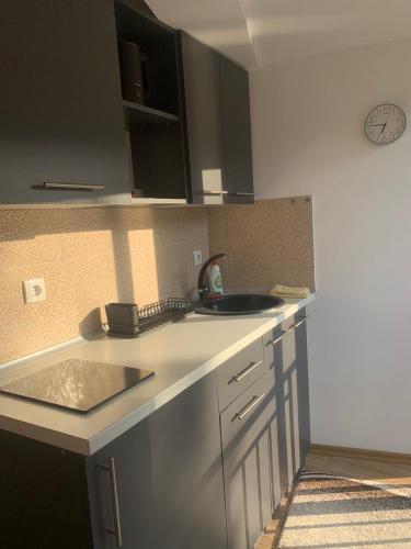 a kitchen with a sink and a counter top at Aluna in Višegrad