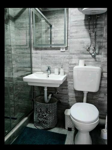 a bathroom with a toilet and a sink at Aluna in Višegrad