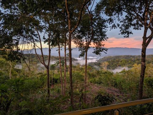 a view of a forest with clouds in the distance at Cielo Lodge in Golfito
