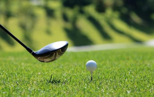 a golf club and a golf ball in the grass at Il Dondolo di Villa Carlotta Mozzo in Mozzo