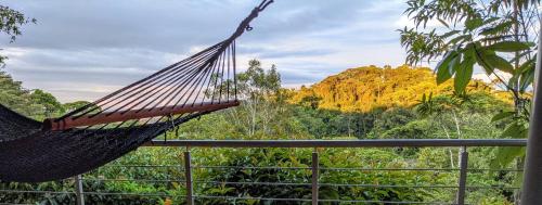 a hammock on a balcony with a view of the forest at Cielo Lodge in Golfito