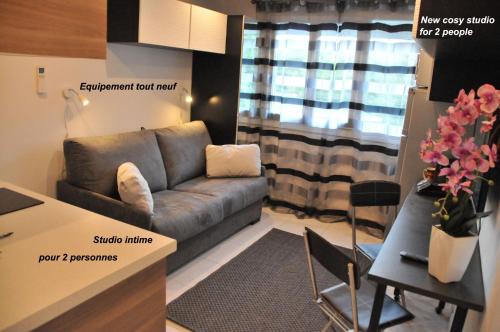 Studette Cannes Croisette Martinez Area