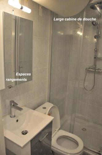 une salle de bain avec une douche, des toilettes et un lavabo dans l'établissement Studette Cannes Croisette Martinez Area, à Cannes