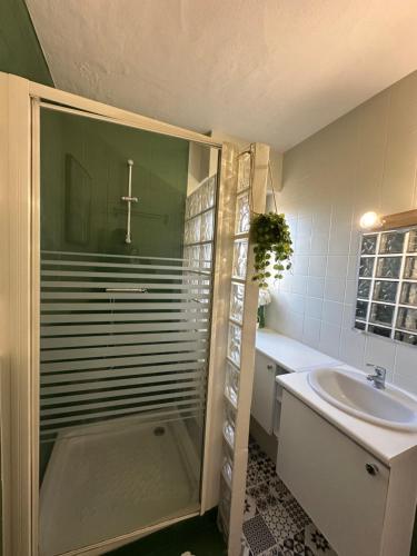 un baño con ducha y lavabo en Repos urbain, en Saint-Brieuc