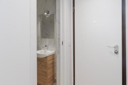 a bathroom with a sink and a mirror at Residence i Tigli in Cinisello Balsamo