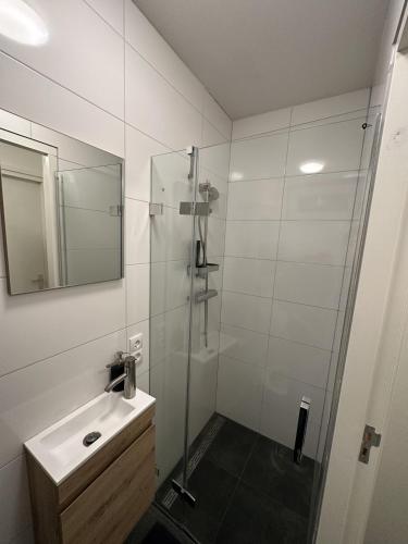 a bathroom with a shower and a sink and a mirror at Loft Rêve Beek in Beek