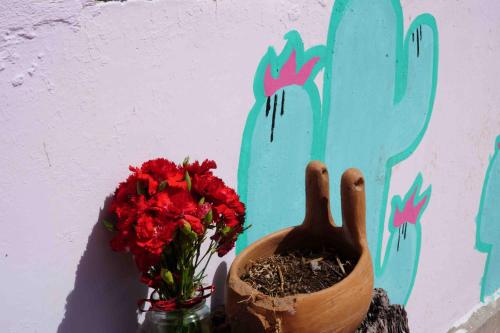 Fotografie z fotogalerie ubytování Casa Euforia Hostal San Cristóbal de las Casas v destinaci San Cristóbal de Las Casas