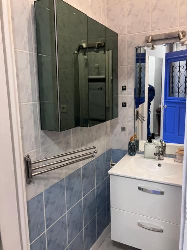 un bagno con doccia e lavandino di Charmante maisonnette a Troyes