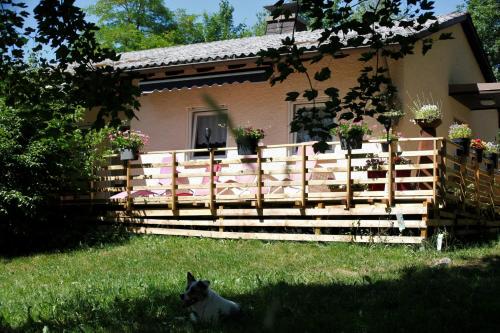 a dog sitting in the grass in front of a fence at Haus 6 in Fichtelberg