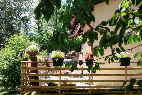 a wooden fence with potted plants on it at Haus 6 in Fichtelberg