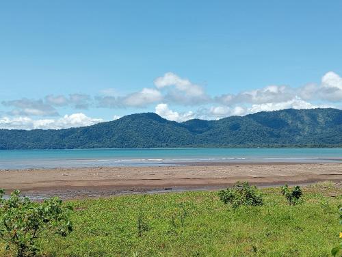 a view of a beach with mountains in the background at Casa Guayaba Lodge in Nuquí