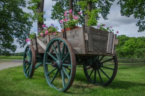 a wooden cart with flowers in it on the grass at Ferienhof Westermann Waldblick in Lähden