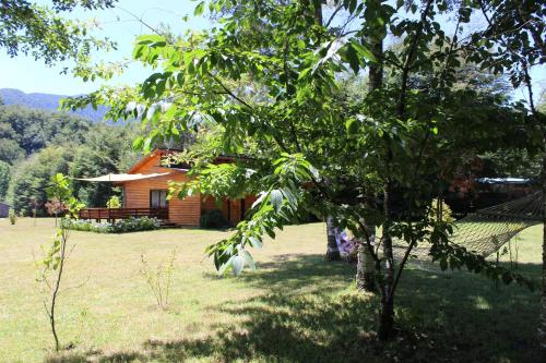 a house in the middle of a field with a tree at Los arrayanes de huife pucon in Termas De Huife