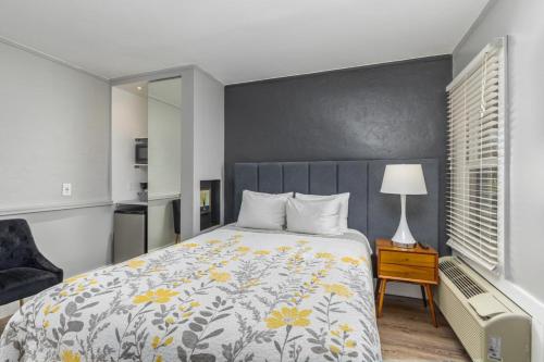 a bedroom with a bed and a table with a lamp at Blue Star Motel in Douglas