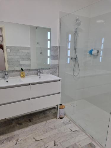 une salle de bain blanche avec un lavabo et une douche dans l'établissement Sete T3 sur les quais en centre ville parking, à Sète