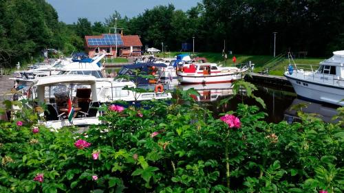 a group of boats docked in a marina with flowers at Ferienwohnung Gebken in Börgerwald