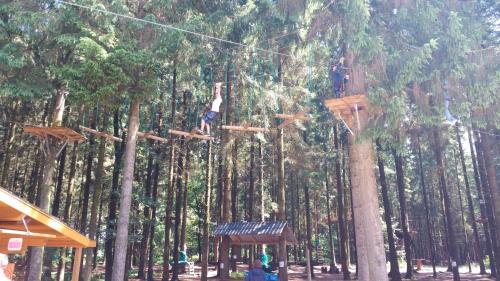 a group of people on a zip line in a forest at Ferienwohnung Gebken in Börgerwald