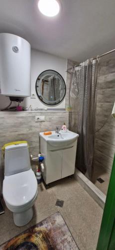 a bathroom with a toilet and a sink and a mirror at Green apartment in Tbilisi City